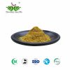 gingko biloba extract total flavone glycosides 24%